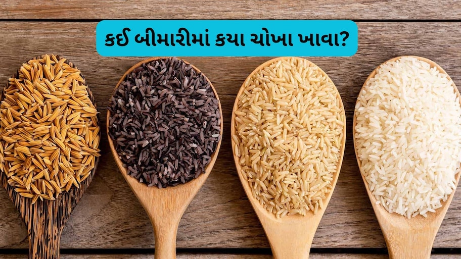 ડાયાબિટીસથી લઈને હાર્ટ હેલ્થ સુધી: એક્સપર્ટે જણાવ્યું કઈ બીમારીમાં કયા ચોખા ખાવા જોઈએ?