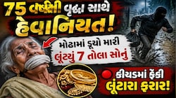ઘરની આંગણે પણ અસુરક્ષા: ગાઢ નિંદ્રામાં પોઢેલા પરિવારને ખબર પણ ન રહી, બહાર વૃદ્ધા પર ઘાતકી હુમલો કરી લૂંટારૂઓ પલાયન