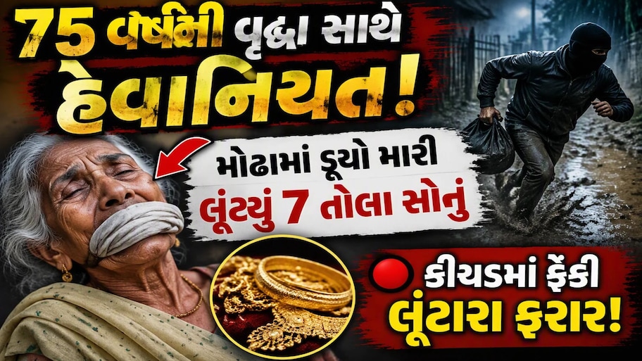 ઘરની આંગણે પણ અસુરક્ષા: ગાઢ નિંદ્રામાં પોઢેલા પરિવારને ખબર પણ ન રહી, બહાર વૃદ્ધા પર ઘાતકી હુમલો કરી લૂંટારૂઓ પલાયન