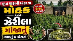 લીલાછમ ખેતરોની આડમાં મોતનું ઝેર, આખરે કોણ છે આ લીલાછમ ઝેરનો અસલી માસ્ટરમાઈન્ડ? રુંવાડા ઉભા કરશે આ અહેવાલ