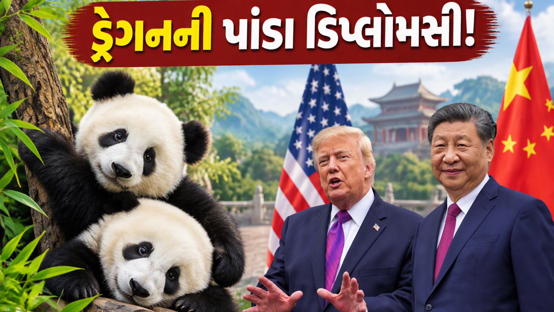 'પાંડા પાવર'નો ભરપૂર ઉપયોગ કરી રહ્યું છે ચીન, વાંસ ખાતું જાનવર કૂટનીતિક સ્તરે કેમ બન્યું મહત્વપૂર્ણ? 'પાંડા પાવર'નો ભરપૂર ઉપયોગ કરી રહ્યું છે ચીન, વાંસ ખાતું જાનવર કૂટનીતિક સ્તરે કેમ બન્યું મહત્વપૂર્ણ?