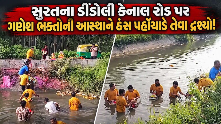 સુરતના ડીડોલી કેનાલમાં 10 દિવસની ભક્તિ બાદ બાપ્પાની આવી હાલત! 2500થી વધુ ગણેશ મૂર્તિઓને સમિતિએ આપ્યું સન્માન