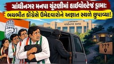 ગાંધીનગર મનપા ચૂંટણી: ભાજપ-કોંગ્રેસ વચ્ચે સીધી ટક્કર કે 'આપ' બગાડશે ખેલ? કોંગ્રેસે પોતાના ઉમેદવારોને કર્યા અંડરગ્રાઉન્ડ