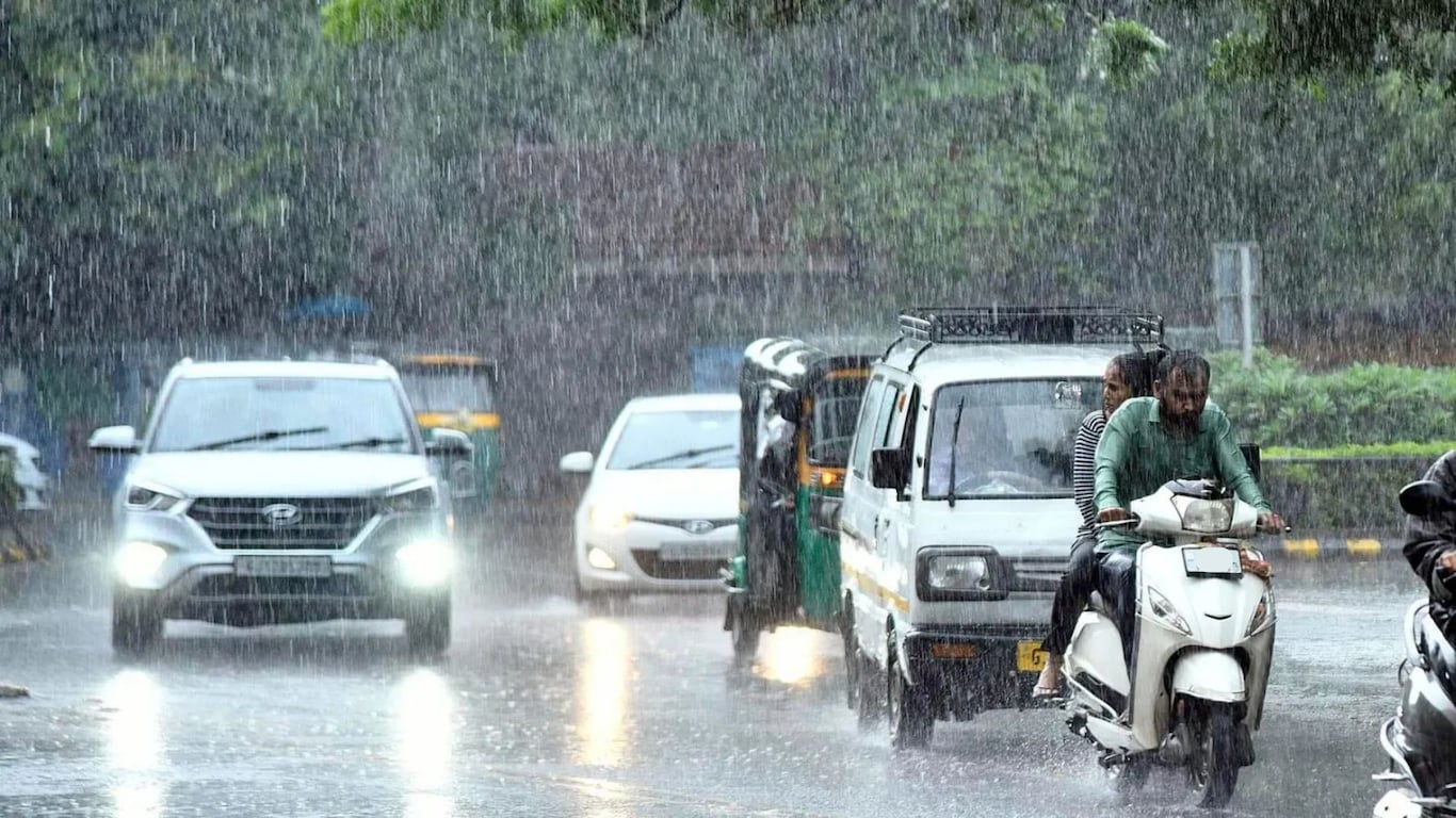 Rain Forecast