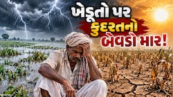 ધરતીપુત્રોની હાલત કફોડી! ક્યાંક વરસાદની અછત, તો ક્યાંક પાછોતરા વરસાદથી પાકને નુકસાન