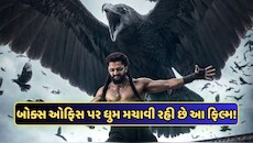 5 દિવસમાં 150 કરોડની નજીક પહોંચી આ ફિલ્મની કમાણી, વિલેન બન્યા છે રાઘવ જુયાલ