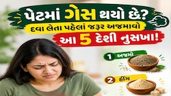 Gas Relief Remedy: માત્ર થોડા જ સમયમાં ગેસથી રાહત મેળવવી છે? અપનાવો આ 5 માંથી કોઈ 1 દેશી ઉપાય