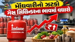 LPG Price Hike: તહેવાર સમયે ઉપાધી, ગેસ સિલિન્ડરના ભાવમાં 62.50 રુપિયાનો વધારો, આજથી નવા રેટ લાગુ