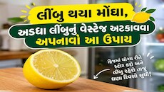Storage Hacks: હવે મોંઘા ભાવના લીંબુ નહીં સુકાય, આ સ્ટોરેજ ટ્રિક્સથી અડધું લીંબુ પણ દિવસો સુધી ફ્રેશ રહેશે