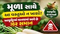 મૂળા સાથે ભૂલથી ખાતા નહીં આમાંથી કોઈ વસ્તુ, આયુર્વેદમાં ચોખ્ખી ના કહેવામાં આવી છે