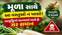 મૂળા સાથે ભૂલથી ખાતા નહીં આમાંથી કોઈ વસ્તુ, આયુર્વેદમાં ચોખ્ખી ના કહેવામાં આવી છે