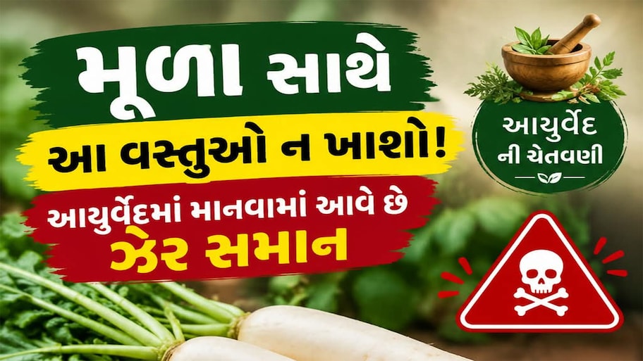 મૂળા સાથે ભૂલથી ખાતા નહીં આમાંથી કોઈ વસ્તુ, આયુર્વેદમાં ચોખ્ખી ના કહેવામાં આવી છે