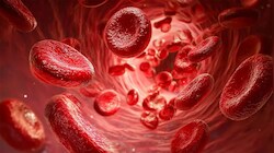 Hemoglobin: દવા વિના હિમોગ્લોબીન વધારવું છે ? આજથી જ ખાવા લાગો આ 5 વસ્તુઓ, 100 ની સ્પીડે વધશે લોહીના ટકા