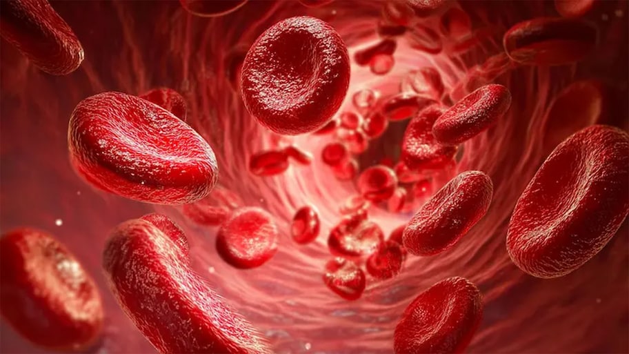 Hemoglobin: દવા વિના હિમોગ્લોબીન વધારવું છે ? આજથી જ ખાવા લાગો આ 5 વસ્તુઓ, 100 ની સ્પીડે વધશે લોહીના ટકા