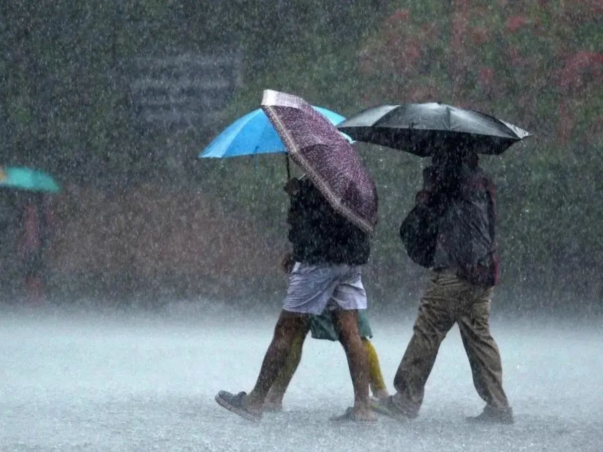 rain