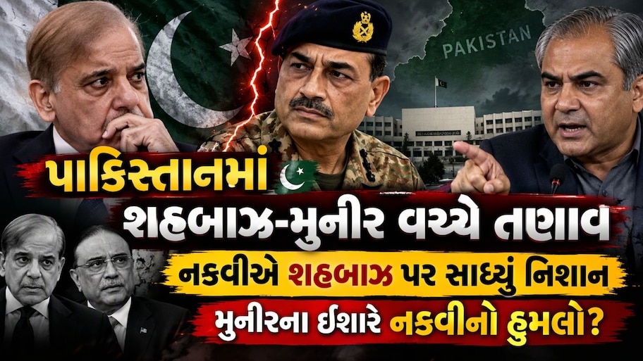 શરીફ અને ઝરદારી ખાનદાનની કબર ખોદવાનું કાવતરું : ગૃહમંત્રીએ જાહેરમાં કરી PMની ટીકા, જાણો શું છે મામલો