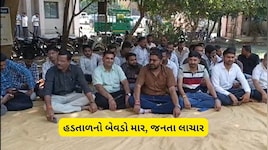 સરકારી કચેરીઓથી લઈને કોર્ટ સુધી સન્નાટો: મહેસૂલી કર્મચારીઓ અને વકીલોની હડતાળથી સામાન્ય જનતા પરેશાન