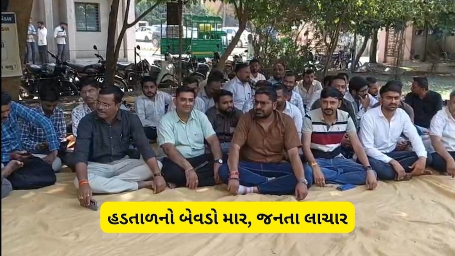 સરકારી કચેરીઓથી લઈને કોર્ટ સુધી સન્નાટો: મહેસૂલી કર્મચારીઓ અને વકીલોની હડતાળથી સામાન્ય જનતા પરેશાન
