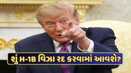 Infosys-TCS સહિત 8 આઇટી કંપનીઓ સામે અમેરિકાની કાર્યવાહી, શું તે ભારતીય કર્મચારીઓને અસર કરશે?