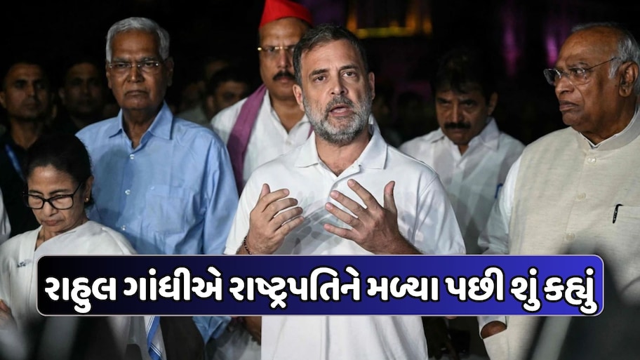 રાષ્ટ્રપતિ દ્રૌપદી મુર્મુએ 'ચૂંટણી ચોરી'નો ઇનકાર ન કર્યો, હું હેરાન થઈ ગયો: રાહુલ ગાંધી