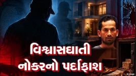 ઘરનો ભેદી જ નીકળ્યો ચોર, અમદાવાદના એક વેપારી સાથે જે થયું, તે સાંભળીને તમારા હોશ ઊડી જશે!