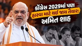 'SIR તો 2024 પછી આવ્યું, 2029માં પણ NDA જ જીતશે...' અમિત શાહના રાહુલ ગાંધી પર આકરા પ્રહારો