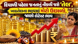 દિવાળી પહેલા ગૃહિણીઓનું બજેટ ખોરવાયું: સિંગતેલનો ડબ્બો રૂ. 3,000ને પાર, જાણો કપાસિયા અને પામતેલનો લેટેસ્ટ ભાવ