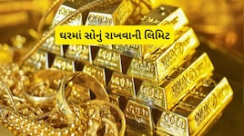 ઘરમાં કેટલું સોનું રાખી શકાય? ઇન્કમ ટેક્સના નિયમો જાણી લો નહીં તો મુશ્કેલી થશે
