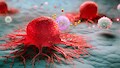 Cancer: વિશ્વ સ્વાસ્થ્ય સંગઠન એ જણાવ્યું કેન્સર થવાનું જોખમ કોને વધારે ? જાણો કેન્સરના રિસ્ક ઝોન વિશે