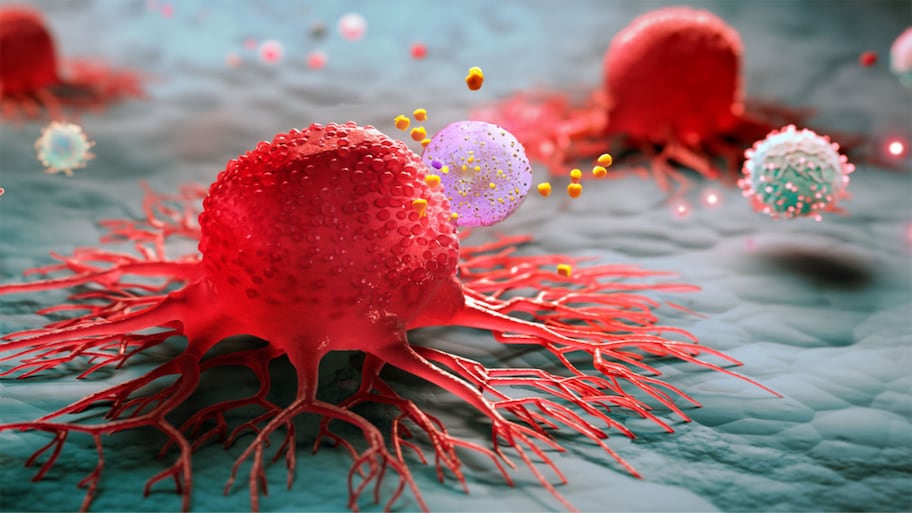 Cancer: વિશ્વ સ્વાસ્થ્ય સંગઠન એ જણાવ્યું કેન્સર થવાનું જોખમ કોને વધારે ? જાણો કેન્સરના રિસ્ક ઝોન વિશે