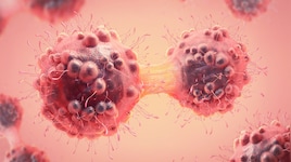 Cancer Warning Signs: કેન્સરના ગાંઠ સિવાયના સંકેતો, શરીરમાં થતા આ ફેરફાર પણ હોય શકે છે કેન્સરનું લક્ષણ
