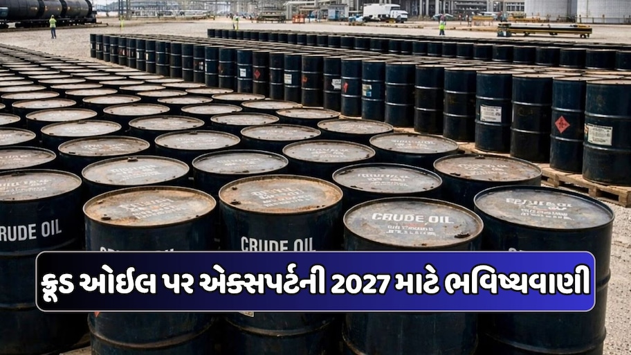 વધુ મોંઘું થશે પેટ્રોલ-ડીઝલ? ભારતનું તેલ આયાત બિલ 46% વધ્યું, જાણો એક્સપર્ટે શું કહ્યું