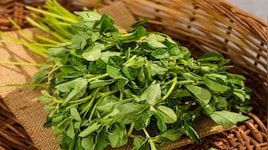 Methi Side Effects: આ 4 લોકો મેથીની ભાજી ન ખાય એ જ સારું, ખાવાથી બગડી શકે છે તબિયત