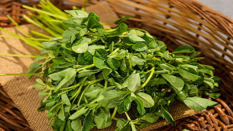 Methi Side Effects: આ 4 લોકો મેથીની ભાજી ન ખાય એ જ સારું, ખાવાથી બગડી શકે છે તબિયત