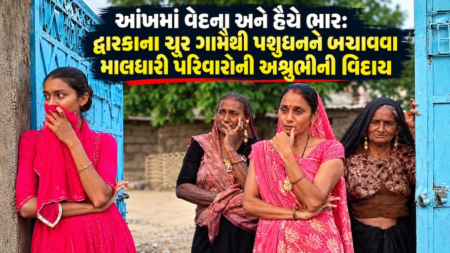 દેવભૂમિ દ્વારકામાં મેઘરાજા રૂઠ્યા: કલ્યાણપુરમાં દુષ્કાળનો ડાચો, વહાલસોયા પશુધનને બચાવવા માલધારીઓ હિજરત કરવા મજબૂર