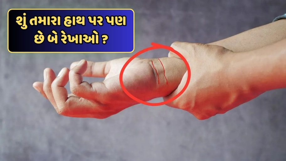 હસ્તરેખા શાસ્ત્ર: કાંડા પર બે રેખાઓ હોવી ખૂબ જ ખાસ, બીજી રેખા ખોલે છે, અપાર સંપત્તિ અને સ્વાસ્થ્યનું રહસ્ય!