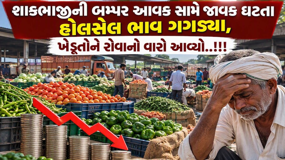 અમદાવાદ સહિત રાજ્યભરમાં શાકભાજીના ભાવ તળિયે: કિલોના ભાવ 10 રૂપિયાથી પણ નીચે જતાં ખેડૂતો મુશ્કેલીમાં, જાણો શું છે ભાવ?