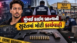 અભિનેતા ટાઈગર શ્રોફ ફાયરિંગ કેસમાં મોટો ખુલાસો! સુરતમાંથી ઝડપાયા હથિયાર