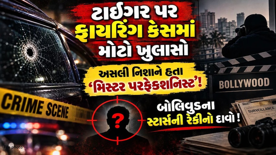 ટાઇગર શ્રોફ નહીં અસલી નિશાન આમિર ખાન હોવાનો દાવો, આ કારણોસર શૂટરોએ બદલી દીધો પ્લાન