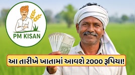 આ તારીખે ખેડૂતોના ખાતામાં આવશે PM Kisanનો 24મો હપ્તો, 2000 રૂપિયા મેળવવા તરત કરો આ કામ