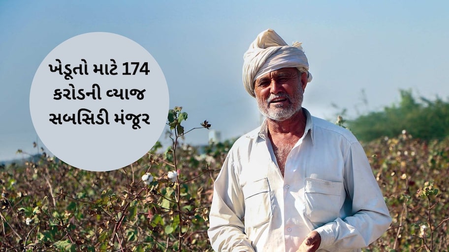 ગુજરાત સરકારની ખેડૂતોને મોટી ભેટ: ધિરાણ પર 2% વ્યાજ રાહત, 10 લાખથી વધુ અન્નદાતાને થશે ફાયદો