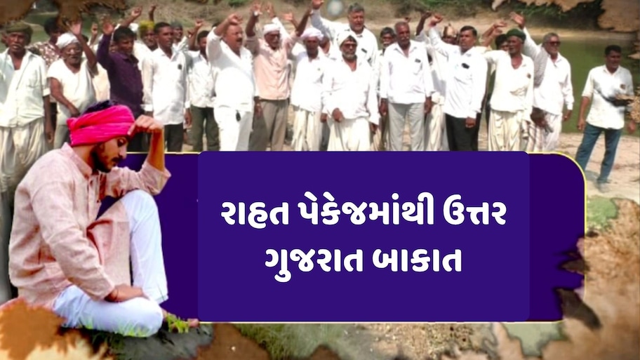 સરકારી સહાયમાં ઉત્તર ગુજરાત સાથે અન્યાય? પાટણ અને બનાસકાંઠાને દુષ્કાળગ્રસ્ત જાહેર કરવા કિસાન સંઘનું અલ્ટીમેટમ