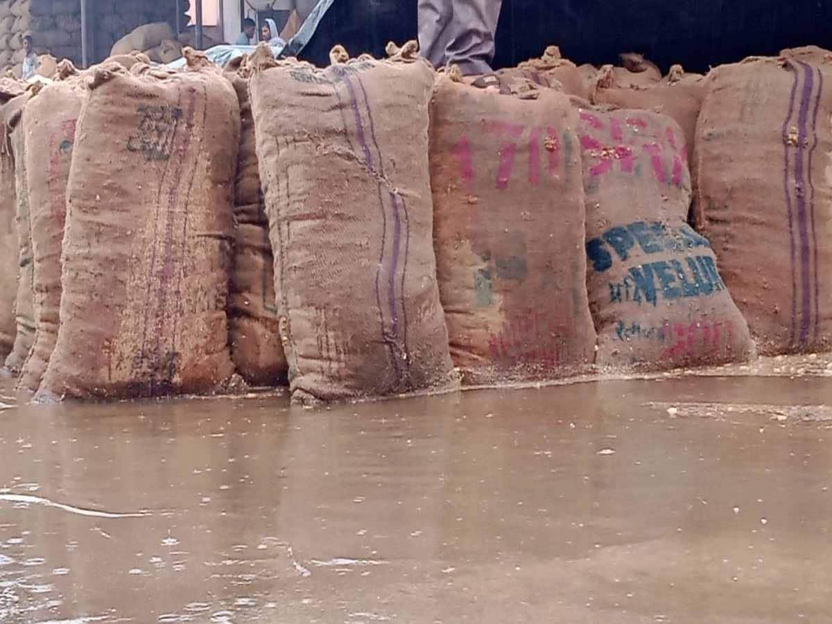 હવામાન નિષ્ણાતો દ્વારા ખેડૂતોને સલાહ