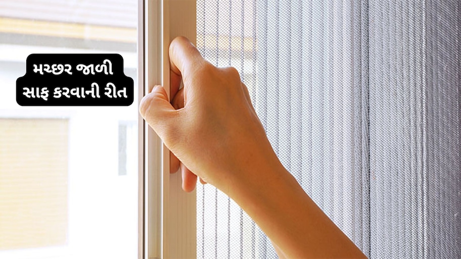 Mosquito Net Cleaning: મચ્છર જાળી સાફ કરવાની સરળ રીત, ઝીણામાં ઝીણી જાળી પણ એકવારમાં ક્લીન થઈ જશે