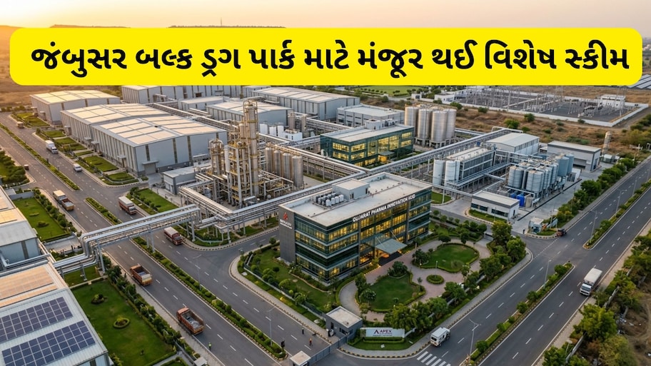 જંબુસર બલ્ક ડ્રગ પાર્કમાં ઉદ્યોગો માટે 'ઓફરનો વરસાદ': કેપિટલ સબસિડીથી લઈ સ્ટેમ્પ ડ્યુટીમાં 100% છૂટછાટ
