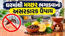 Mosquito Repellent Tips: મચ્છર ભગાડવા માટે કઈ વસ્તુનો ધુમાડો કરવો? આ ટ્રિકથી ફટાફટ ભાગી જશે મચ્છર