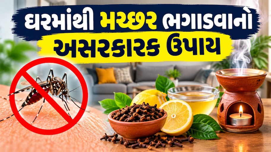 Mosquito Repellent Tips: મચ્છર ભગાડવા માટે કઈ વસ્તુનો ધુમાડો કરવો? આ ટ્રિકથી ફટાફટ ભાગી જશે મચ્છર