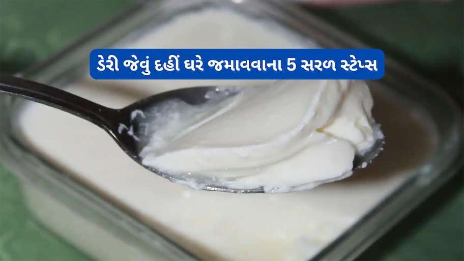 Thick Curd: 5 સ્ટેપ્સ ફોલો કરી ખાસ વાસણમાં જમાવો દૂધ, માર્કેટ જેવું જ પાણી વિનાનું દહીં ઘરે જામશે